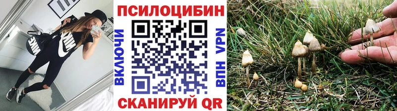 купить закладку  Энем  дарк нет какой сайт  Псилоцибиновые грибы мухоморы  блэк спрут ссылки 