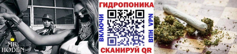 Конопля Bruce Banner Энем