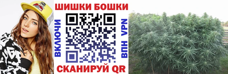 что такое   Энем  Канабис сатива 